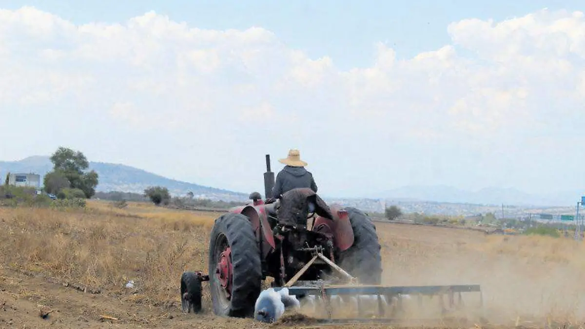 Campo, campesinos